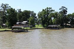 Sam Houston National forest